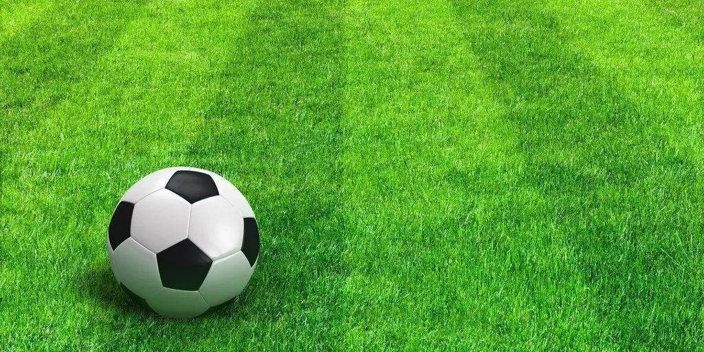 足球分析师李女士