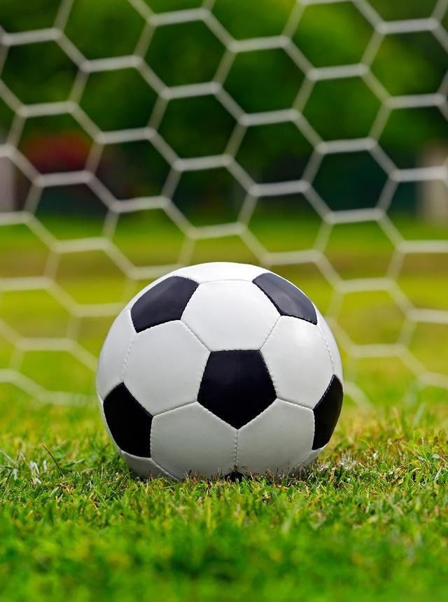 足球爱好者张先生