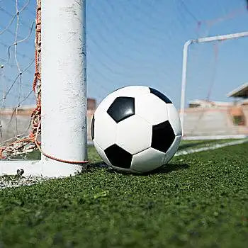 球迷使用足球比分应用观赛场景